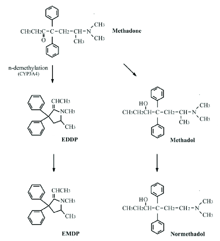 Metbl2