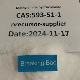 CAS:593-51-1 Methylamine hydrochloride